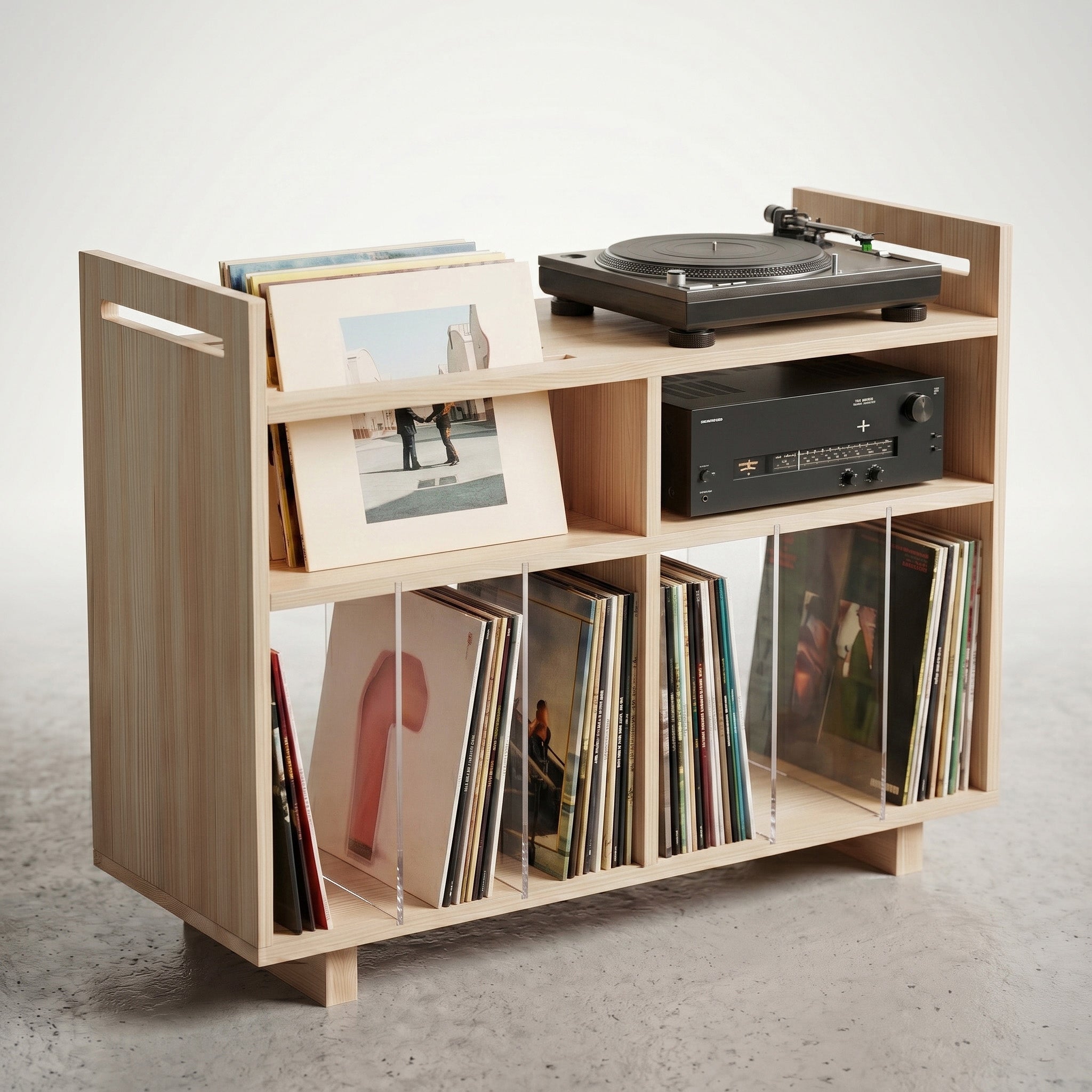 Vinyl Record Storage